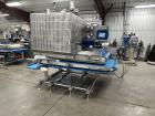 2013 Pizzamatic Waterfall Topping Applicator With Return Conveyors